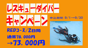 千葉 ダイビング ダイビングウェットスーツキャンペーン