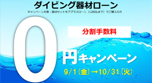 千葉 ダイビング