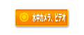 千葉　ダイビング