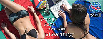 千葉　ダイビング