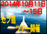 千葉　ダイビング