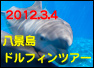 千葉　ダイビング