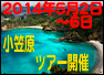 千葉　ダイビング