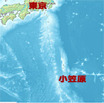 千葉　ダイビング