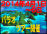千葉　ダイビング