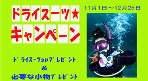 千葉 ダイビング ダイビングウェットスーツキャンペーン