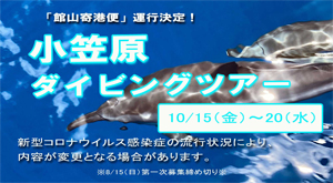 千葉 ダイビング