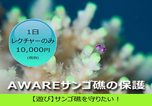 PADIスクーバダイバーコース
