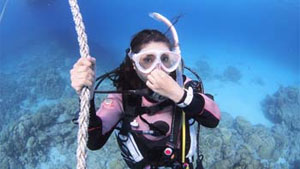 padi ダイビング ライセンス